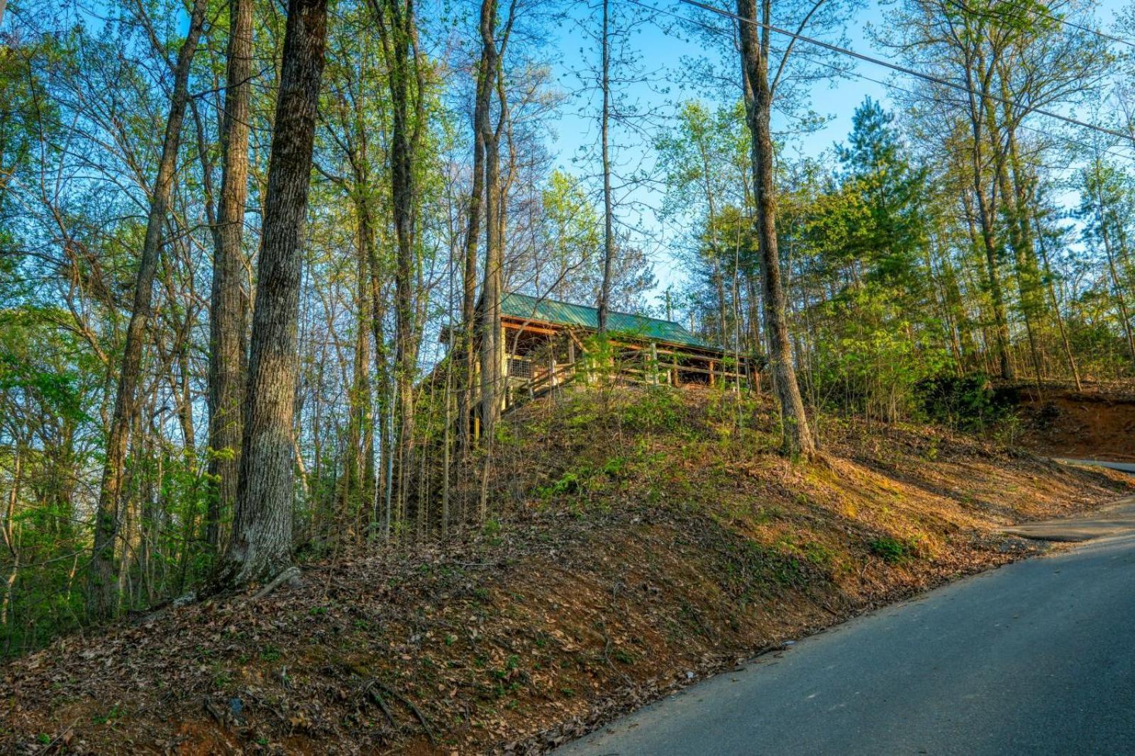 Little Bear Cabin Gatlinburg Eksteriør billede